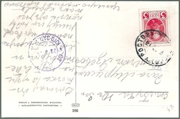 B3969 Russia Postcard From Rostov To Bucha 1919 Personality Royalty - Covers & Documents