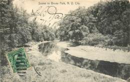 New York City - Scene In Bronx Park In 1908 - Other Monuments & Buildings