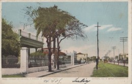 Amérique - Antilles - Cuba - La Habana - Calle En Vevado - Street In Vevado Suburb - Matasellos 1905 Habana Contich - Cuba