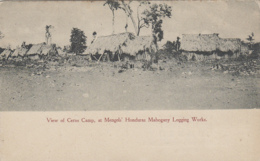 Amérique - Honduras - Belize - View Of Ceros Camp At Mengels' Mahogany Logging Works - Louisville KY - Bois Scierie - Honduras