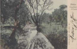 Amérique - Mexique Mexico - El Canal En Chapultepec - 1908 - Mexique