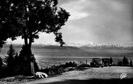 Gex-la-Faucille Le Belvédère Du Pailly Belle Vue Sur Le Mont Blanc Et Le Léman Voitures - Gex