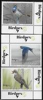 LUXEMBOURG 2018- RARE BIRDS- Bluethroat-,EurasianReed Warbler, Barn Swallow- MNH Set- BIRDPEX - Hirondelles