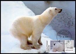 GREENLAND GROENLAND (2019) - Carte Maximum Card ATM - Polar Bear, Der Eisbär, Ours Blanc (Thalarctos Maritimus) - Cartes-Maximum (CM)
