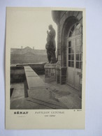 SENAT  -   LE  PAVILLON  CENTRAL  -  UNE   STATUE  .....        TTB - Unclassified