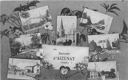 AIZENAY      MULTIVUE - Aizenay