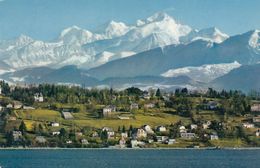 Cp , SUISSE , GENÈVE , Le Mont-Blanc (4810 M.) Et Le Coteau De Cologny - Cologny