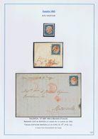 º70(3). 1865. Conjunto Del 12 Cuartos Azul Y Rosa (un Sello Suelto, Uno Sobre Fragmento Y Uno Sobre Carta), Todos Inutil - Other & Unclassified