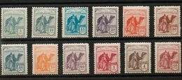 **1/12N. 1924. Serie Completa. NºA000.000. MAGNIFICA Y RARA. Edifil 2013: 532,5 Euros - Other & Unclassified