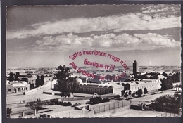 Delcampe - Q2014 - EL OUED L'Ecole De Garçons - Algérie - El-Oued