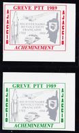 (*) TIMBRES DE GREVE (REF. MAURY) - (*) - AJACCIO 1989 - MAU N°51 (x2) Dt Une Valeur Non Catalogué En Vert Et Gris - Cdf - Otros & Sin Clasificación