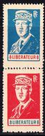 ** LIBERATION (Réf. MAYER 2015) - ** - De Gaulle - N°5/6 - Paire Se Tenant Verticale  - TB - Liberation