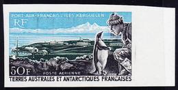 ** T.A.A.F - POSTE AERIENNE  - ** - N°14 - BDF - ND - TB - Luftpost