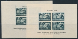 ** RUSSIE - BLOCS FEUILLETS  - ** - N°4 - Avec Variété Inscriptions Très Décalées (en Bas) - TB - Unused Stamps