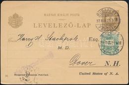 1897 Hunyadi János Keserűvíz Reklámmal Felülnyomott 2kr Díjjegyes Milleniumi Képeslap 'S.A.H.J.' Céglyukasztású Színessz - Sonstige & Ohne Zuordnung