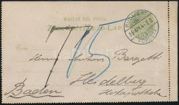 1895 3kr Díjjegyes Zárt Levelezőlap 15pf Portóval   'BUDAPEST' - Heidelberg (Baden) - Other & Unclassified