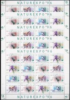 ** 1996 NATUREXPO 5 Db Teljes ív (12.500) - Other & Unclassified