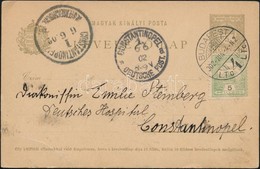 1902 - Sonstige & Ohne Zuordnung