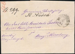 1881 Hivatalos Levél 'BOLDOGASSZONY' - Szent András - Other & Unclassified