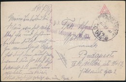 1917 Tábori Posta Képeslap 'K.u.k. Infanterieregiment Kaiser Leopold II. Nr.33.' + 'TP 642' - Otros & Sin Clasificación
