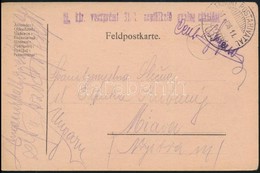 1918 Tábori Posta Levelezőlap / Field Postcard 'M.kir. Veszprémi 31/1 Népfölkelő Gyalog Zászlóalj' + 'TP 639' - Other & Unclassified