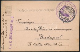 1915 Tábori Postai Levelezőlap Kórházhajóról Küldve 'K.u.k. SPITALSCHIFF No. 3.' - Other & Unclassified