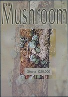 ** 2004 Gomba Vágott Blokk Mi 463 - Sonstige & Ohne Zuordnung