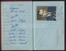 1955 Jugoszláv útlevél Magyar Utazási Engedéllyel - Unclassified