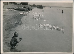 Cca 1932 Kinszki Imre (1901-1945) Budapesti Fotóművész Hagyatékából, Pecséttel Jelzett és Aláírt Vintage Fotó (Nyár A Du - Sonstige & Ohne Zuordnung