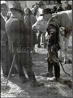 Klell Kálmán (1897-1980): Vásári Jelenet, Hátoldalon Feliratozott, Pecséttel Jelzett Fotó, Sarkai Kissé Kopottak, 39×29  - Sonstige & Ohne Zuordnung