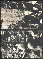 Cca 1974 Őri Tóth István (1954-2010) Székesfehárvári Fotóművész 5 Db Feliratozott, Vintage Fotóművészeti Alkotása (És Az - Sonstige & Ohne Zuordnung