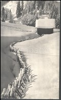 Szöllősy Kálmán (1887-1976): Snowed Hedge, Pecséttel Jelzett Vintage Fotó, Felületén Törésnyom, 39×23 Cm - Sonstige & Ohne Zuordnung