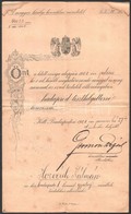 1901 Hadapródi Kinevezés és Szolgálaton Kívül Helyezési Igazolás - Otros & Sin Clasificación