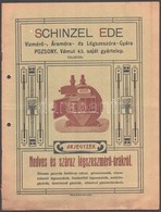 1909 Pozsony, Schinzel Ede Vízmérő-, Áramóra- és Légszeszóra-Gyára árjegyzéke, Lyukasztott, 14p - Unclassified