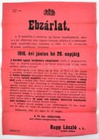 1916 Budapest VI. Kerületi Ebzárlattal Kapcsolatos Hirdetmény, 47×31 Cm - Unclassified
