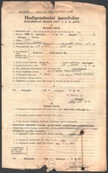 1934 Bp., Hadigondozási Igazolvány Hadirokkantak Számára - Unclassified