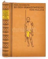 Paul Schebesta: Bei Den Urwaldzwergen Von Malaya. Leipzig, 1927, F. A. Brockhaus. Első Kiadás. Német Nyelven. Színes Tér - Ohne Zuordnung