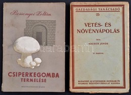Bessenyei Zoltán: Csiperkegomba Termelése. Bp., 1958, Mezőgazdasági Kiadó. Kiadói Papírkötés,  + Hauser János: Vetés és  - Sin Clasificación