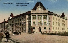 T2/T3 1920 Gyulafehérvár, Karlsburg, Alba Iulia; Törvényszéki Palota. Kiadja Weisz Bernát / Court Palace - Unclassified