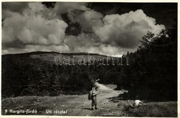 T2 1942 Hargita-fürdő, Harghita-Bai; úti Részlet, Kirándulók / Road, Hikers - Unclassified