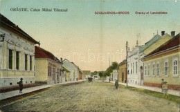 * T2 1923 Szászváros, Broos, Orastie; Calea Mihai Viteazul / Országút, üzlet. Szászvárosi Könyvnyomda Kiadása / Landstra - Unclassified