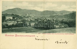 T2 1898 Besztercebánya, Banská Bystrica;  Látkép. Kiadja Ivánszky Elek 4580. / General View - Sonstige & Ohne Zuordnung