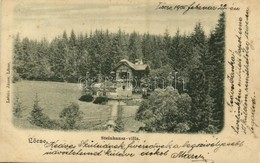 T2 1905 Lőcse, Levoca; Steinhausz Villa. Latzin János Kiadása / Villa - Other & Unclassified