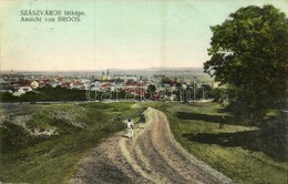 T2 1915 Szászváros, Broos, Orastie; Látkép. Szászvárosi Könyvnyomda Kiadása / Ansicht / General View + 'K.u.K. Rekonvale - Sonstige & Ohne Zuordnung