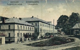 * T3/T4 1927 Szomolnok, Schmölnitz, Smolník; Továren Na Tabák / Tabakfabrik / Dohánygyár, Utcakép, üzlet. Kiadja G. Jilo - Other & Unclassified