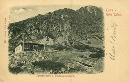 T2/T3 1899 Tátra, Magas Tátra, Vysoké Tatry; Schleiserhaus U. Blumengartenturm / Felkai-tó, Sziléziai Ház, Virágoskertto - Sonstige & Ohne Zuordnung