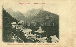 ** T2 Tátra, Vysoké Tatry; Kohlbach Szálloda A Lomniczi Csúccsal / Hotel And Lomnicky Stít - Sonstige & Ohne Zuordnung