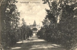 T2/T3 Palicsfürdő, Palic; Út A Tóparthoz, Kiadja Víg Zsigmond Sándor / Promenade (EK) - Unclassified