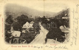 T2/T3 1901 Baden Bei Wien, Helenthal / Street View, Villas. Verlag R. Jocham 1523. (EK) - Sonstige & Ohne Zuordnung