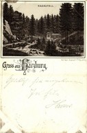 T2/T3 1892 (Vorläufer!!!) Harzburg, Radaufall / Waterfall. Carl Garte Kunstanstalt Art Nouveau, Floral, Litho (EK) - Ohne Zuordnung